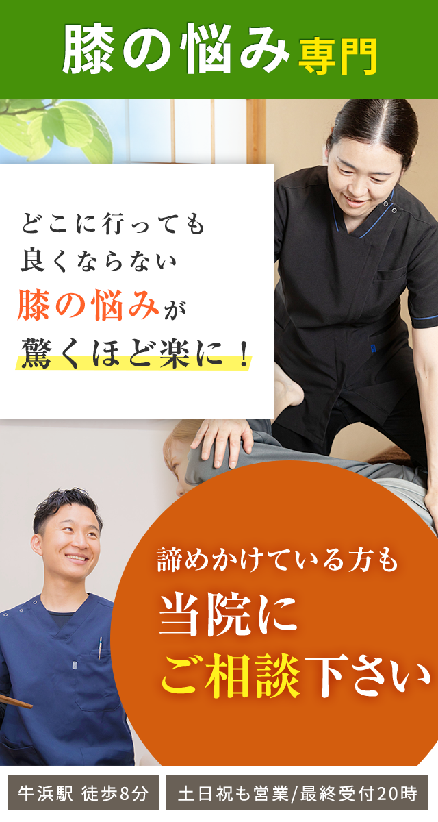 膝の悩み専門